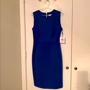 Royal Blue Calvin Klein Work Dress Size 6